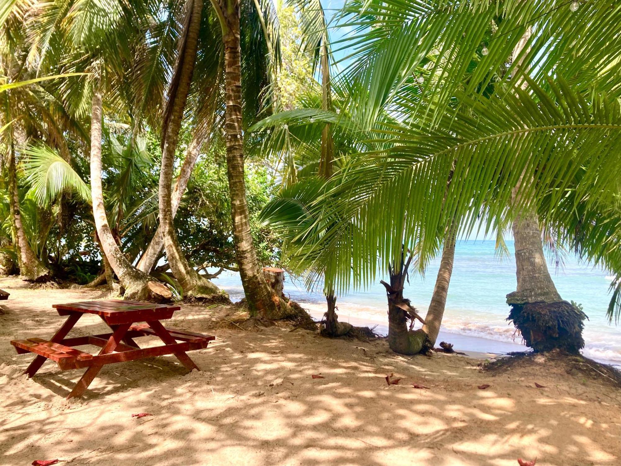 Drago Beach House - Private Beach Boca del Drago Exterior photo